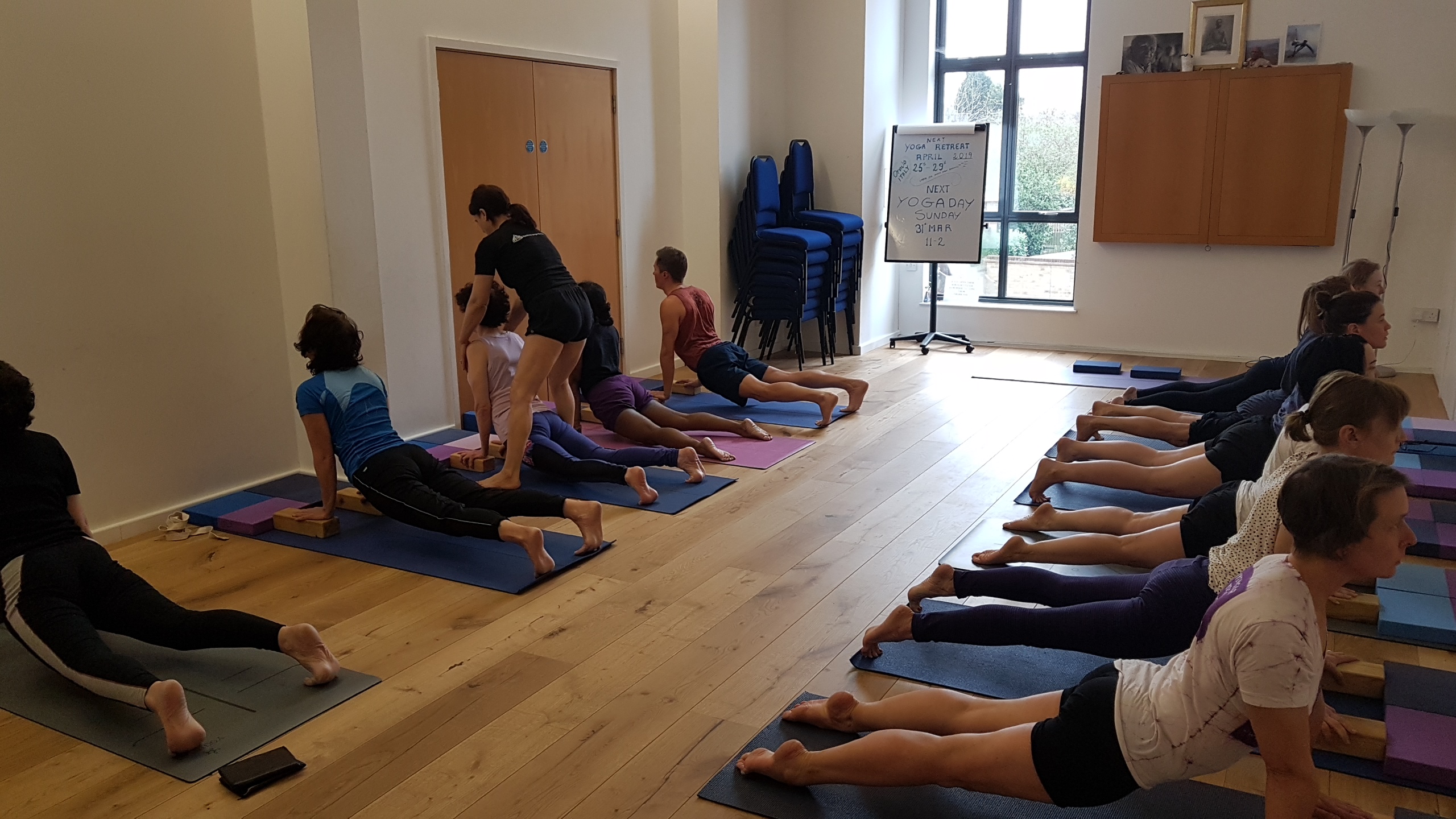 #yogainforesthill #iyengaryoga #onlineyoga #robbieyoga #graziayoga #yogamat #yogaprop