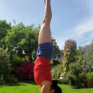 #adhomukavrksasana #handstand #handbalance #ubbayapadangustasana #krounsasana #urdhvaprasaritaekapadasana #graziafarina #astavakrasana #Purvottanasana #robbiesilva #iyengayogacenter #upavistakonasana #alfrescoyoga #praia #robbieyiyengaryoga #yogablocks #yogaprops #yogachair #indianyogabolster #yogablanket #yogainforesthill #gryoga #iyengaryoga #staysafe #covid-19 #coronavirus #robertoyoga #graziayoga #restorativeyoga #yogaonline #livestreamyoga #yogalondon