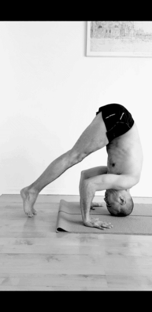#yogainforesthill #iyengaryoga #onlineyoga #robbieyoga #graziayoga #yogamat #yogaprop